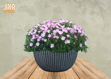 Pflanzer-Patio-Pflanzer Schüssel-Pflanzer-Faser-Clay Flower Pots Garden Potss blühen im Freien Pflanzer
