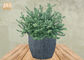 Grey Pots Resin Plant Pots-Runden-Pflanzer-Topf-Pflanzer-Clay Pots Garden Flowerpots Pot-Blume im Freien