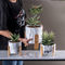 Runde Topf-Pflanzer Succulents-Pflanzer-Clay Flower Pots Mini Planter-Töpfe zementieren Blumentöpfe