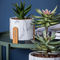 Runde Blumen-Topf-Mini Plant Pots Cement Pot-Pflanzer marmorn Succulents-Topf-Tischplatten-Blumentöpfe