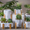 Mini Flower Pots Round Succulents-Topf-Pflanzer-Tischplatten-Blumentopf-Zement-Topf-Pflanzer-Kaktus-Pflanzer
