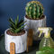Zement-Blumen-Topf-Mini Succulents Plant Pots Round-Pflanzer-Tischplatten-Pflanzer-Kaktus-Pflanzer