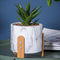 Runde Succulents-Töpfe zementieren dekorative Töpfe Blumen-Topf-Mini Pot Planters Tabletop Flowerpotss