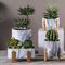 Runde Succulents-Töpfe zementieren dekorative Töpfe Blumen-Topf-Mini Pot Planters Tabletop Flowerpotss