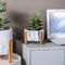 Runde Topf-Pflanzer-Mini Flowerpots Clay Flower Pots-Zement Succulents-Pflanzer marmorn Topf-Tischplatten-Pflanzer
