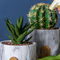 Runde Topf-Pflanzer-Mini Flowerpots Clay Flower Pots-Zement Succulents-Pflanzer marmorn Topf-Tischplatten-Pflanzer