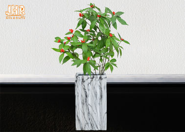 Quadratische Blumentopf-Clay Flower Pots Marble Pot-Pflanzer-Innenpflanzer-Patio-Pflanzer-Pflanzer im Freien