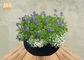 Wasserdichte Fiberclay-Topf-Pflanzer-Lehm-Blumen-Topf-weiße schwarze graue Farbrunde Pflanzer im Freien