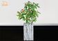 Quadratische Blumentopf-Clay Flower Pots Marble Pot-Pflanzer-Innenpflanzer-Patio-Pflanzer-Pflanzer im Freien
