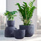Verwitterte Garten-Topf-Clay Flower Pots Resin Outdoor-Blumentöpfe Gray Flower Pots Fiberglass Planters