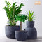 Verwitterte Garten-Topf-Clay Flower Pots Resin Outdoor-Blumentöpfe Gray Flower Pots Fiberglass Planters