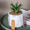 Zement-Topf-Pflanzer Mini Succulents Planters Tabletop Potss Clay Flower Pots Marble Flowerpots