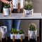 Mini Succulents Pot Planters Tabletop-Pflanzer-Clay Flower Pots Cement Plant-Töpfe marmorn Pflanzer
